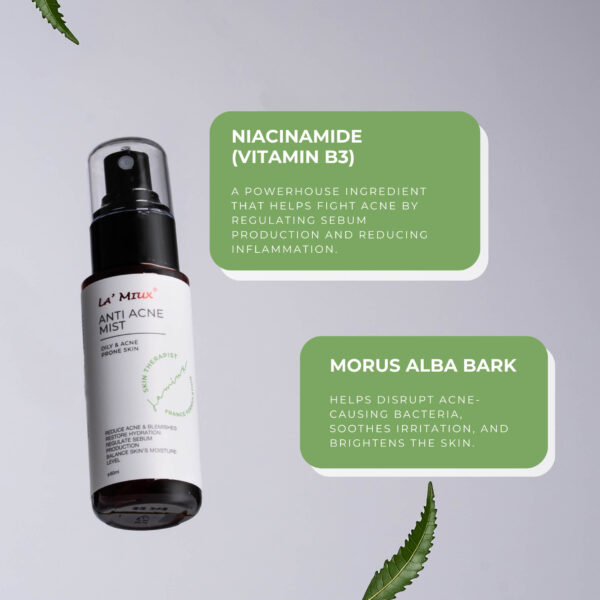 Anti Acne Mist Ingredients