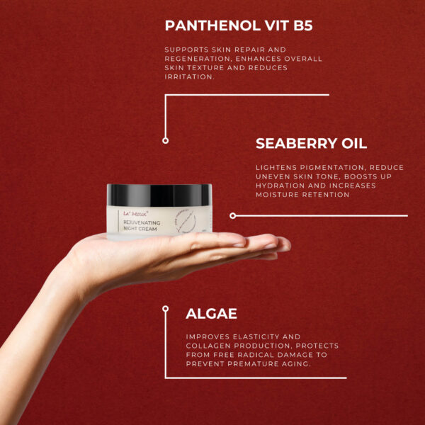 Rejuvenating Night Cream Ingredients